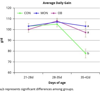 Benefits of olive bioactives in gut health Benefits of olive bioactives in gut health