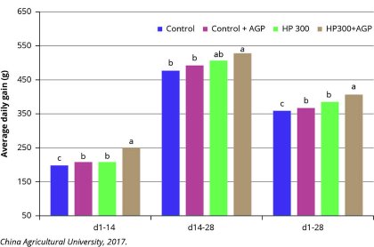 Breaking down the barriers to high-performing feed Breaking down the barriers to high-performing feed