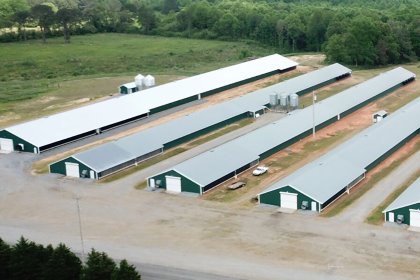 There is a trend for wider and longer poultry houses, but that comes with ventilation consequences. Photo: TPI-Polytechnics There is a trend for wider and longer poultry houses, but that comes with ventilation consequences. Photo: TPI-Polytechnics