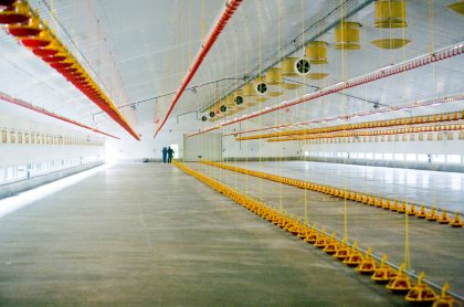 Tunnel ventilation is an option to move large volumes of air through the house. Photo: TPI-Polytechnics Tunnel ventilation is an option to move large volumes of air through the house. Photo: TPI-Polytechnics