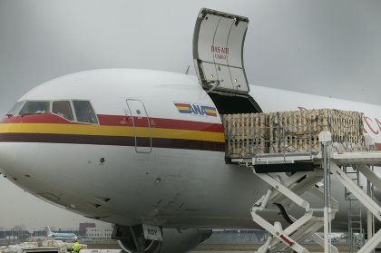 Disrupted air transport has had a major impact on the distribution of poultry breeding stock. Photo: Mark Pasveer Disrupted air transport has had a major impact on the distribution of poultry breeding stock. Photo: Mark Pasveer