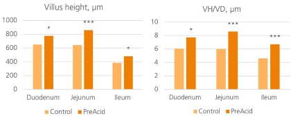Improving broiler gut health by making the most of butyric acid Improving broiler gut health by making the most of butyric acid