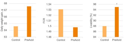Improving broiler gut health by making the most of butyric acid Improving broiler gut health by making the most of butyric acid