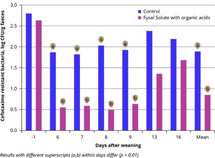 Steering gut health early boosts health and performance Steering gut health early boosts health and performance