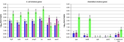 Insights from microbial surveillance in broiler flocks Insights from microbial surveillance in broiler flocks