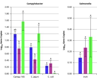 Insights from microbial surveillance in broiler flocks Insights from microbial surveillance in broiler flocks