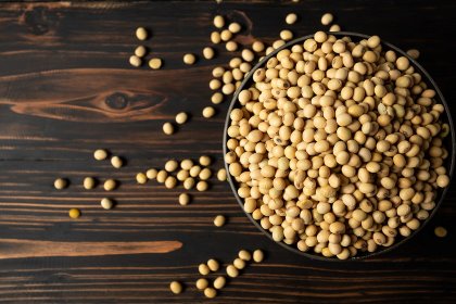 Annually, Nutreco buys around 1.5 million tonnes of soy ingredients and 80,000 tonnes of oil palm products. Photo: Jcomp Annually, Nutreco buys around 1.5 million tonnes of soy ingredients and 80,000 tonnes of oil palm products. Photo: Jcomp