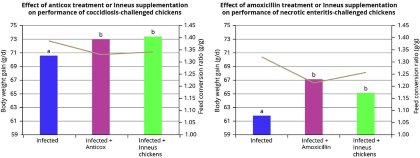 Functional amino acids to reduce the use of antibiotics Functional amino acids to reduce the use of antibiotics