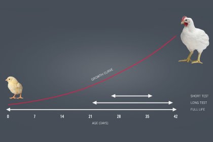 Data capture and genetic progress in feed conversion Data capture and genetic progress in feed conversion