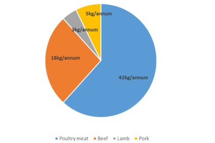 Case study: Imports dominate South African poultry market Case study: Imports dominate South African poultry market