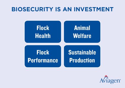 Biosecurity and surveillance in times of avian influenza Biosecurity and surveillance in times of avian influenza