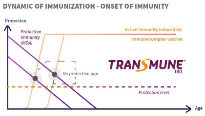 The right balance between safety and efficacy in IBD control The right balance between safety and efficacy in IBD control