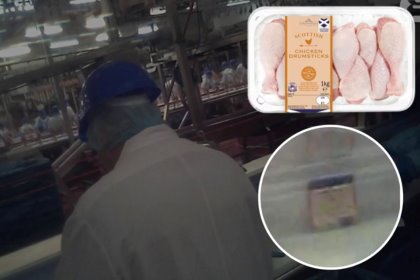 Chicken meat returned from supermarkets being placed back on the production line. Photo: Guardian/ITV expose Chicken meat returned from supermarkets being placed back on the production line. Photo: Guardian/ITV expose