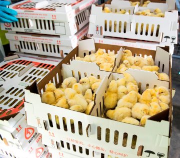Compartmentalisation – Ensuring security of supply Compartmentalisation – Ensuring security of supply
