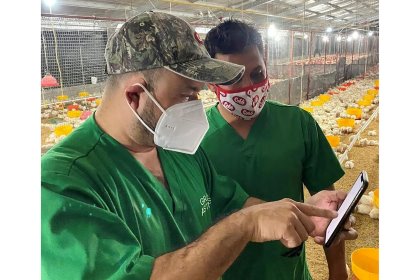 Cobb’s new flock management app helps track production and manage flocks. Photo: Cobb Cobb’s new flock management app helps track production and manage flocks. Photo: Cobb
