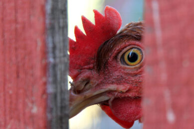 Taking biosecurity seriously