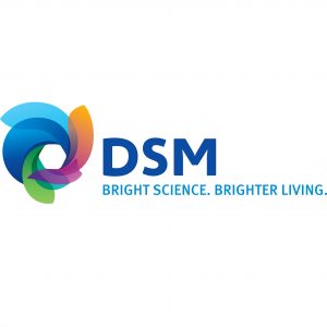 Dsm