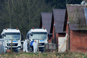 HPAI reported in US wild birds and Italian turkey farm