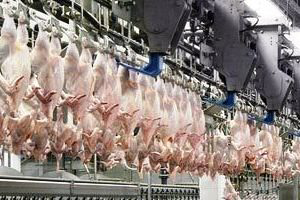2 Sisters poised to buy troubled Irish poultry processor