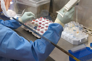 Washington State reports new case of IBDV in poultry