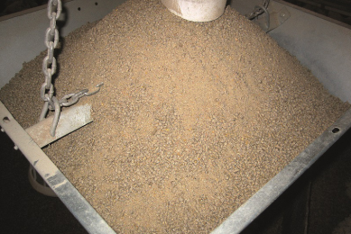 feed bunker