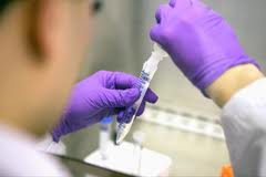 Enzyme level linked to green muscle disease in poultry