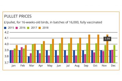 Market firms despite oversupply