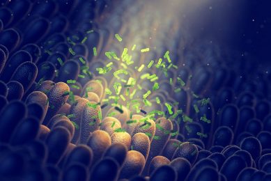 Fat digestibility, in particular, will be affected to a large extend by bacteria that impair the function of bile acids, vital components of the fat digestibility apparatus. Photo: Shutterstock