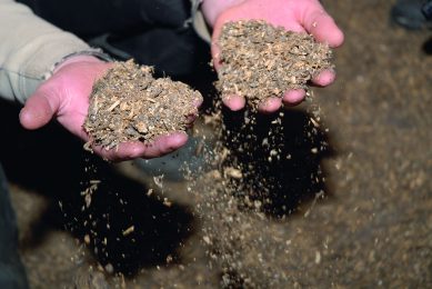 The consequences of wet litter range from cold spots all the way to footpad lesions and respiratory problems. Photo: Wageningen UR Livestock Research