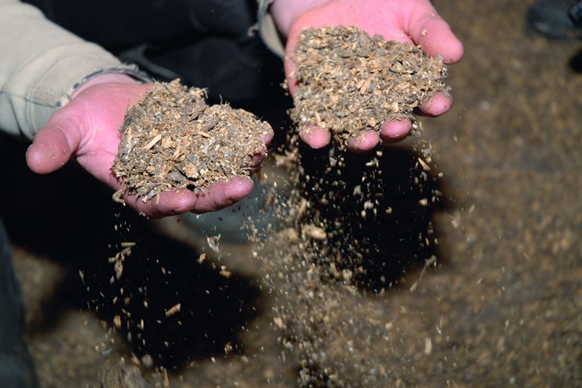 The consequences of wet litter range from cold spots all the way to footpad lesions and respiratory problems. Photo: Wageningen UR Livestock Research