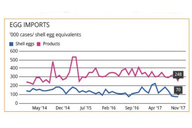 Egg prices back on an even keel after post-Christmas drop