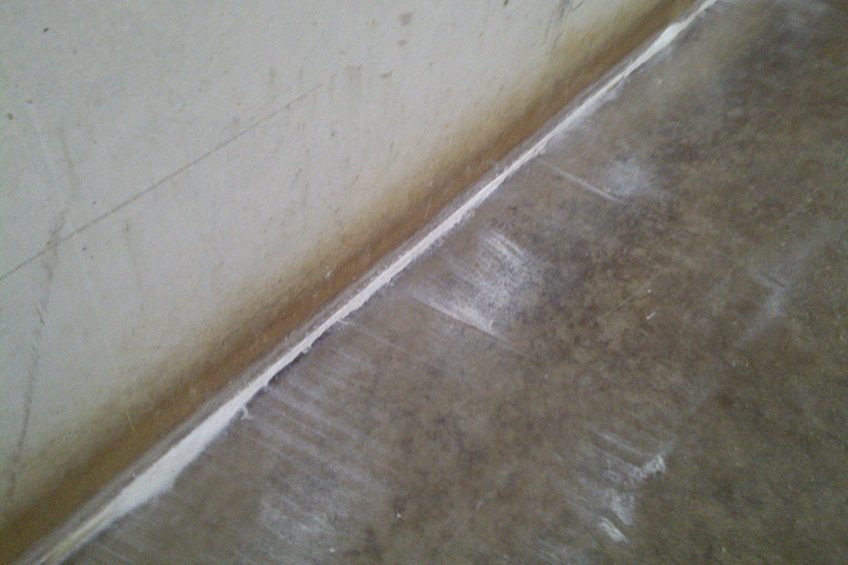 Good hygiene in the poultry house is essential. Hot water and detergent will effectively clean walls, floors and equipment. Photo: Trouw Nutrition