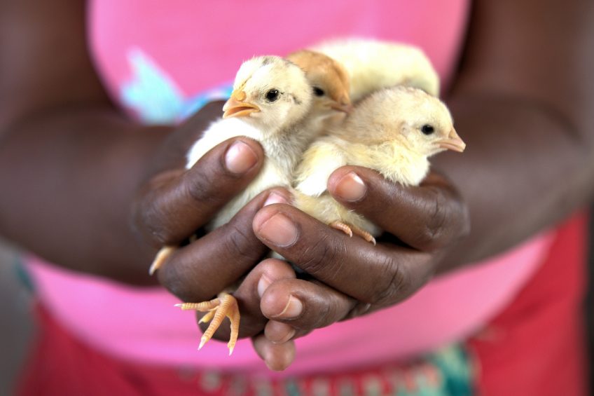 Photo: Farm Africa / Tara Carey.