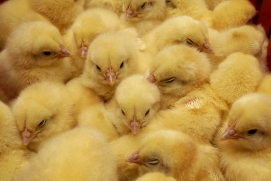 Photo: iStock