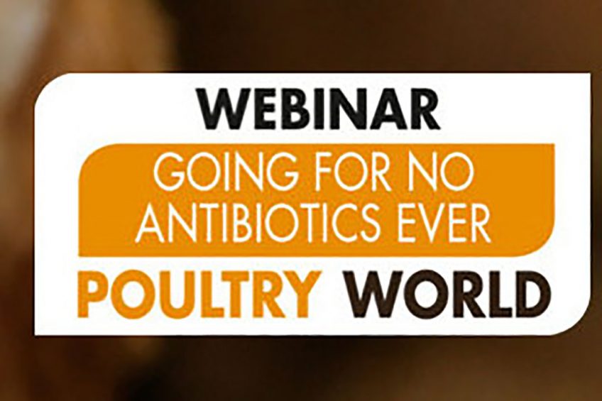 On demand, webinar Going for no antibiotics ever
