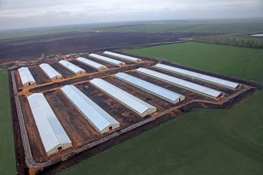 Cherkizovo turkey project nearing completion