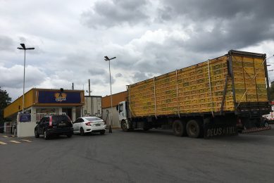 Ad'oro has some 300 farms within a 250 kilometre radius supplying the plant with broilers. Photo: Fabian Brockötter