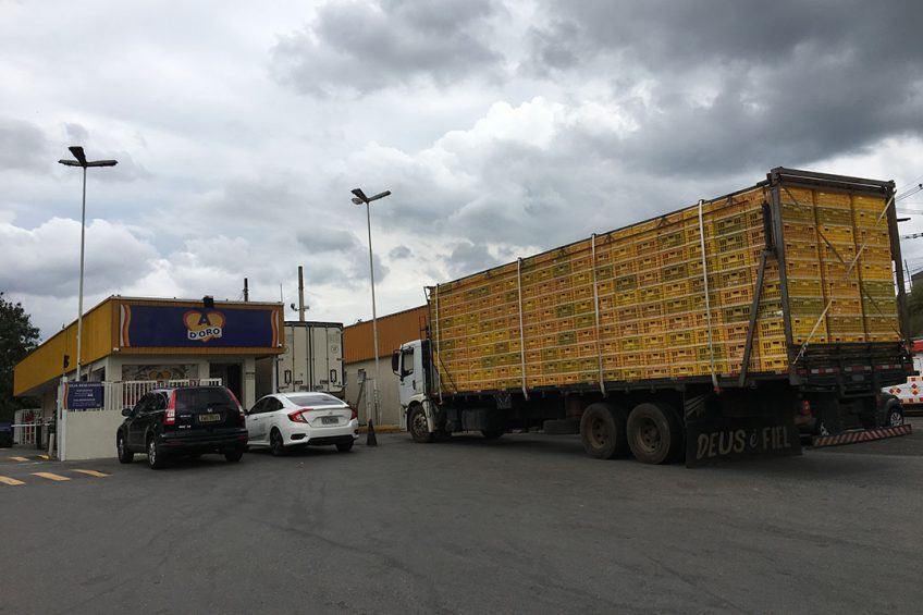 Ad'oro has some 300 farms within a 250 kilometre radius supplying the plant with broilers. Photo: Fabian Brockötter