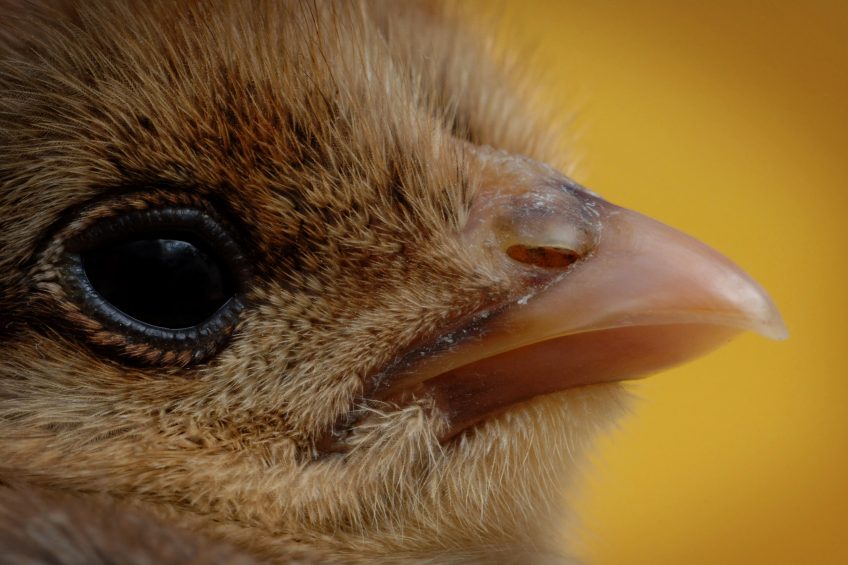 Photo: Medicimage/REX/Shutterstock