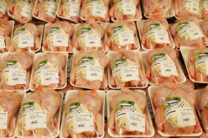 What are you doing against campylobacter?