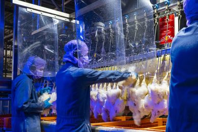 Covid infections at processing facilities around the world have a big impact on production. Extra hygiene measures are put in place to reduce infection risks. Photo: Ruud Ploeg