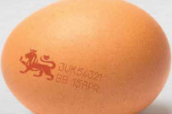 UK: 'Best before' date extended for eggs