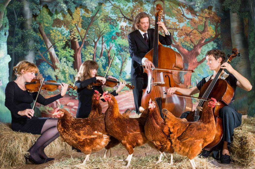 Animal welfare group targets Noble Foods. Photo: Happy Egg Co/Rex/Shutterstock