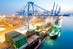 Russia starts poultry exports to the UAE
