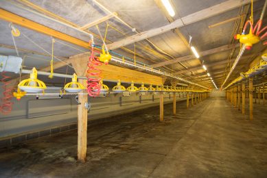 Recladding walls and sealing floors has given this Faccenda house a new lease of life, and improved bird health and performance. Photo: Tim Scrivener