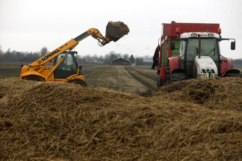 Antibiotic use affects resistant bacteria in soil