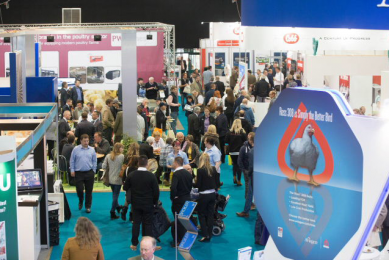 British pig and poultry fair 2016