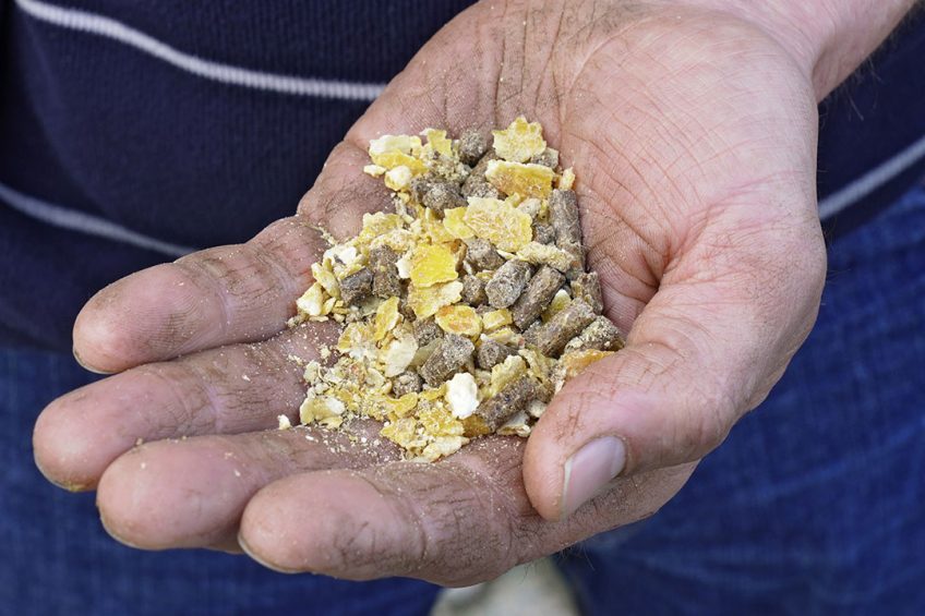 Iran s government is failing to distribute enough feed among poultry farms at a guaranteed price. Photo: Ruud Ploeg