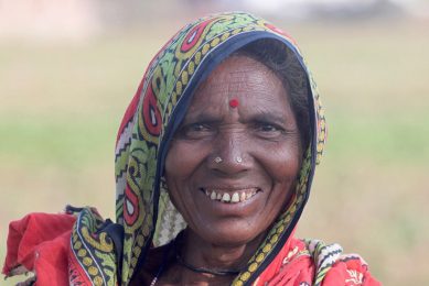Poultry charity aims to help 100 million people. Photo: Pixabay