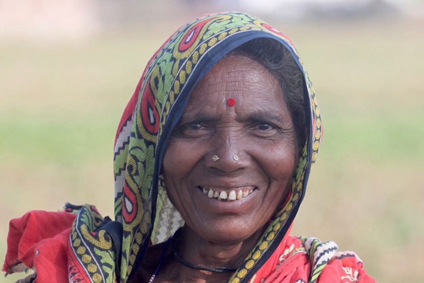 Poultry charity aims to help 100 million people. Photo: Pixabay